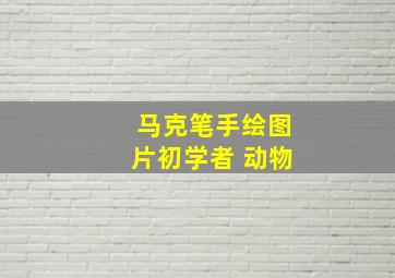 马克笔手绘图片初学者 动物